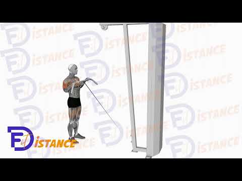 Exercice Curls à la poulie en prise inversée