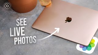 How to See Live Photos on Mac (explained)