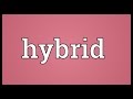 Hybrid Meaning