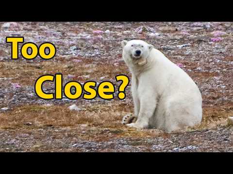 #82 / Expedition Svalbard – Too Close? Polar Bear Encounter in the High Arctic