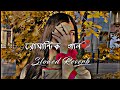 Best Romantic song❤️ || Lo-fi Song  [Slowed× Reverb] || Bangali Lo-fi Song || DD Bangali Music 🎵