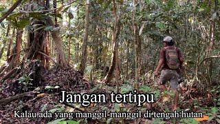 Download lagu WASPADA KALAU MANCING KE HUTAN DENGER SURA INI.!!! SURA YANG BIKIN ORANG TERSESAT DI HUTAN mp3