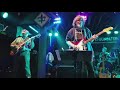 The Radiators - Like Dreamers Do