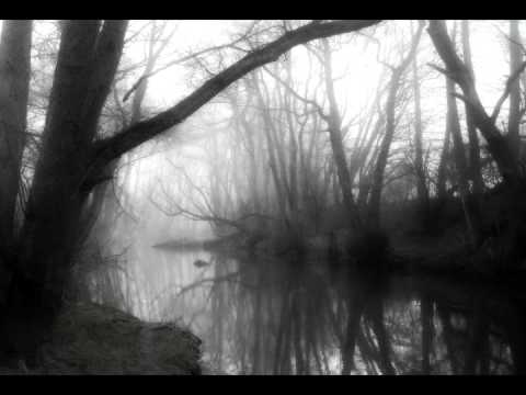 Forest of Fog - In Vergessenen Ruinen