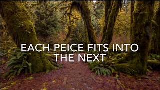 Dragonfly ( Lyrics / Lyric Video ) - By Nahko