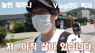 애니악 한국 근황 진짜 오랜만에 브이로그 - 인천 은행나무 칼국수