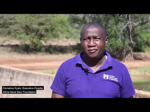Hear from Our Directors