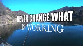 QUAGGAS EVERY WHERE PYRAMID PIRU CASTAIC LAKES & LAGOON
