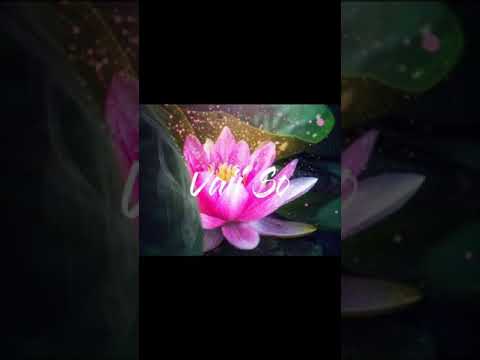 GEDZON - ETERNAL LOVE (REGGAE MASHUP) 2k21