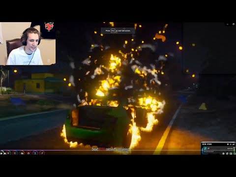 A Dog Saves xQc's Life