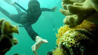 preview picture of video 'Jefman Under Water - Raja Ampat'