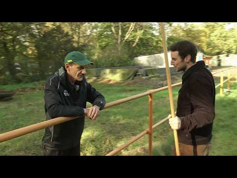 LEIPZIG ELEMENTAR // Rasenpfleger für einen Tag