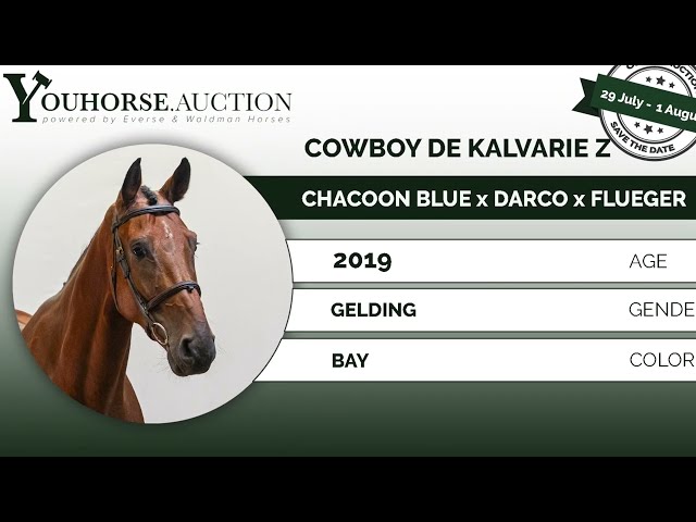 Cowboy de Kalverie Z