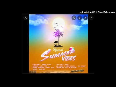Skinny Fabulous - Party Nice (Carnival Mix) (Raw) [Summer Vibes Riddim]