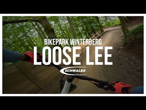 Bikepark Winterberg - Schwalbe Loose Lee | Canyon Torque AL | Stage Preview [4K]