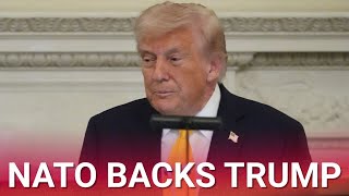 NATO chief backs US strikes on Iran after Trump unleashed on unsupportive allies