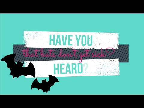 Have you heard that bats don't get sick?