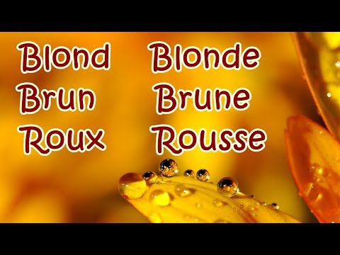 Pronounce "blond, blonde, brun, brune, roux, rousse" in French