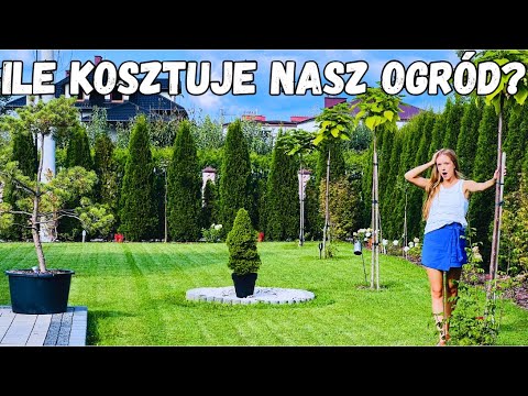 How much have we already spent on our garden? | We're counting the costs #garden #costs #kuvings