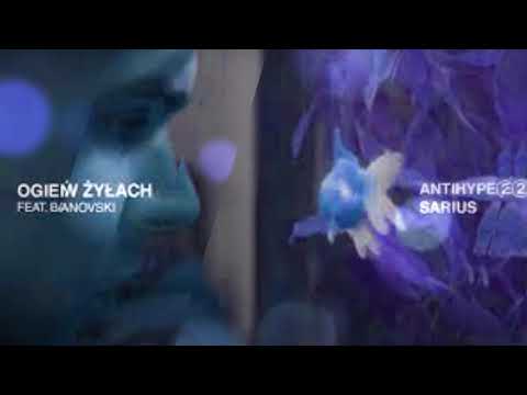 Sarius feat. BARANOVSKI - Ogień W Żyłach (prod. Czarny HIFI) (Bass Boosted)