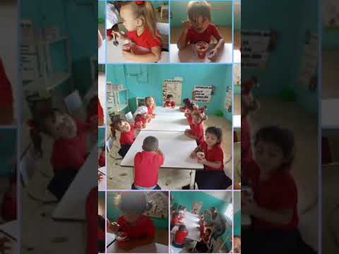 Municipio Jesus Maria Semprun | Dia de la alimentacion | Estado Zulia