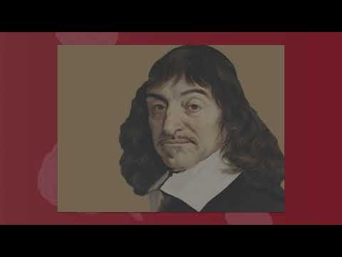 Vídeo: Traédeme cerebros!