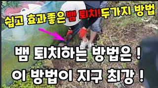 뱀 퇴치! 이런 방법보다 좋은건 이 세상 어디에도 없습니다! #뱀퇴치 #뱀 #뱀이싫어하는것 #뱀못오게하는방법…