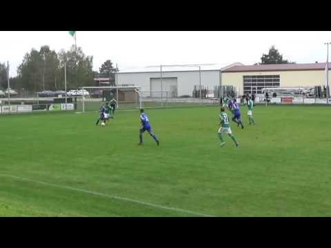 SSV Havelwinkel Warnau - SV Blau-Gelb Goldbeck 4:2 (2:0)