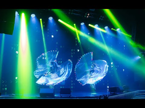 PANTERA Fireshow - LED CosmoLights