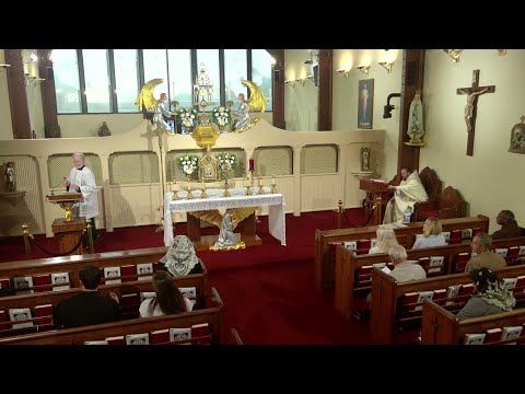 Daily Readings and Homily - 2025-09-09 - Fr. Matthew