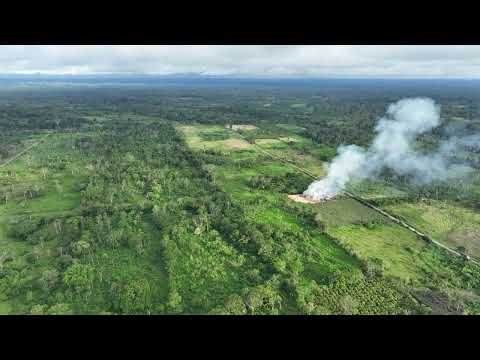 Drone view of a balsa wood operation in Ecuador