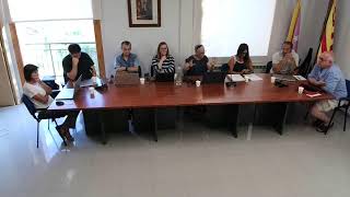 Ple 3 ordinari de data 30/07/2025