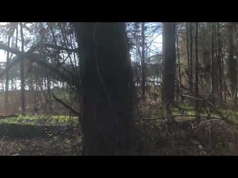 Georgian village. Getting Lost Together. Part 2 #slowliving #adventure #walkthrough