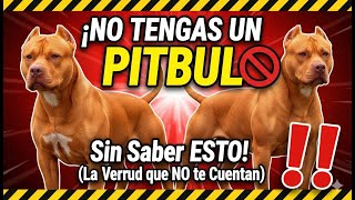 AMERICAN PITBULL TERRIER (APBT) Standard UKC, Historia, caracteristicas, cuidados y salud.