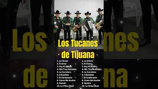 El Doctor Del Pueblo - Los Tucanes De Tijuana