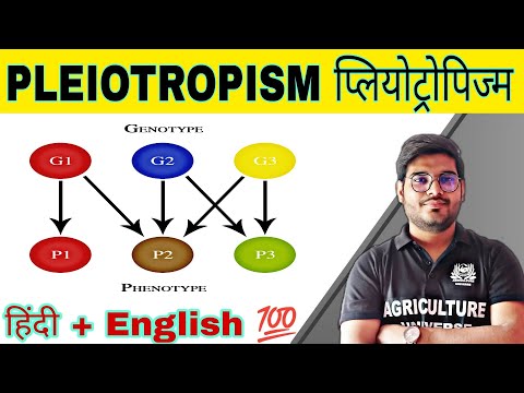 defination allopolyploid allopolyploid kya hai allopolyploid in hindi what is allopolyploid
