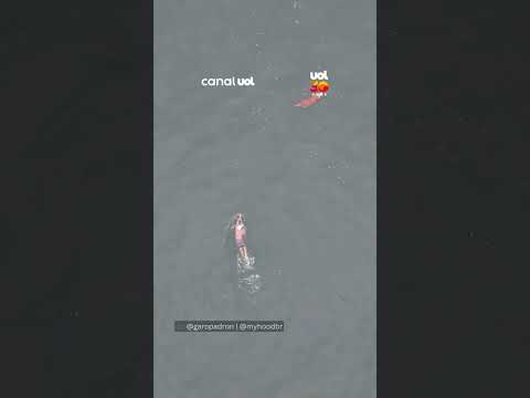 Momento fofura! Drone registra golden retriever acompanhando tutor em mergulho no mar em SC