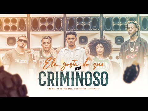 Ela Gosta Do Que É Criminoso - Mc Niel, FP do Trem Bala, DJ Luanzinho feat NaPista