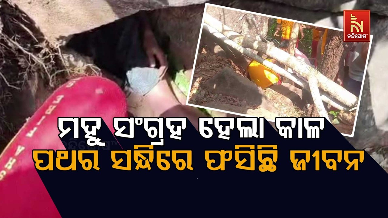 🔴Live | ମହୁ ସଂଗ୍ରହ କରିବାକୁ ଯାଇ ପଥର ମଝିରେ ଫସିଲେ ନାବାଳକ
