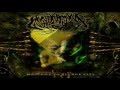 Annotations of an Autopsy - Welcome to Sludge City (FULL EP)