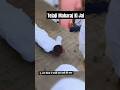 Jai Ho Tejaji Maharaj Ki Youtube Video Tejaji Short