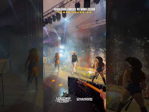 Show do leãozinho do forró em Campos Verdes Goiás #boanoiteee