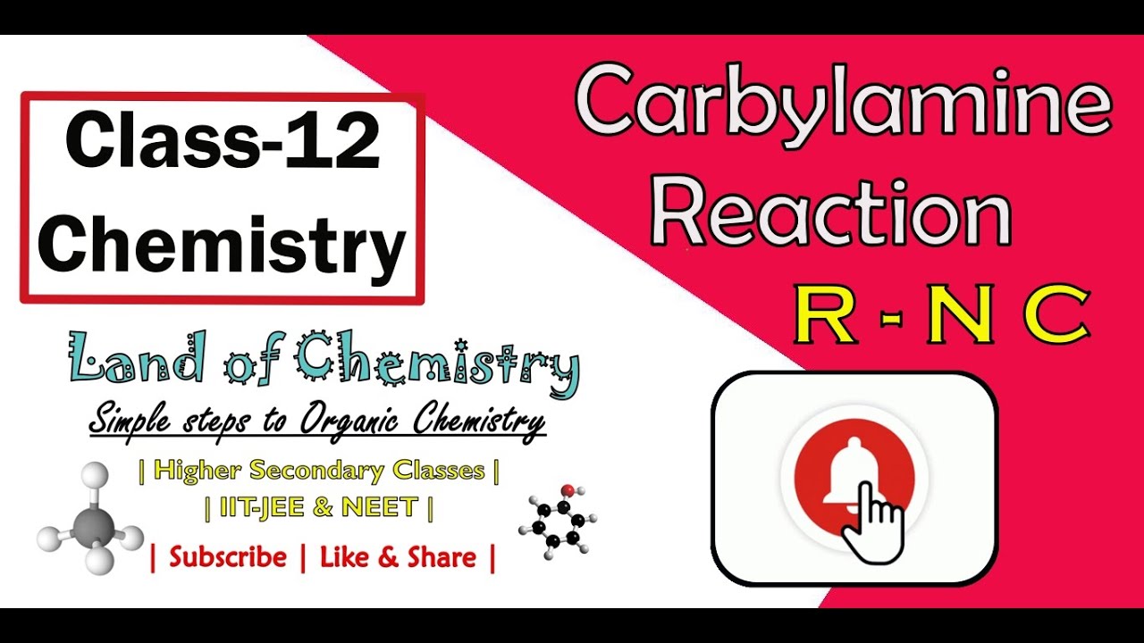 Carbylamine Reaction | Test for Primary amines |Class 12 | Land of Chemistry