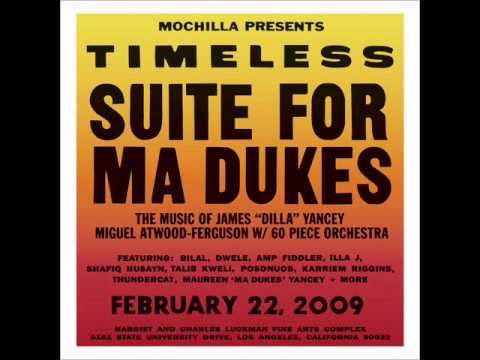 Miguel Atwood-Ferguson - Fall In Love