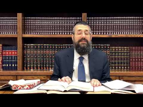 # 22 —Moshiach: Serving Hashem in the Image of Dovid HaMelech