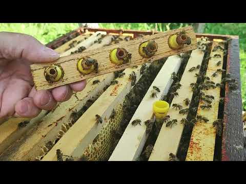 Bezmatak- jedan od načina kako ga sanirati