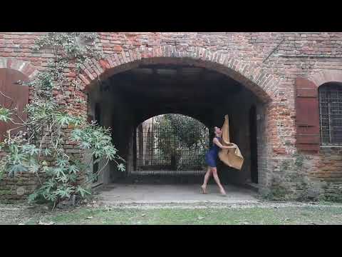 1.61 GOlden sectiON - 1 video. 61 artists | 47. Jessica Rapelli