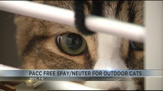 PACC's free spay and neuter 'Snip n' Tip' event offered to Tucson community cats