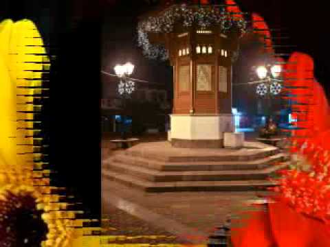 Ljuca Rustem Muratovic - Moja draga moja mila.flv