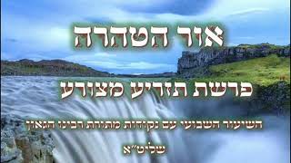 אור הטהרה - פרשיות תזריע מצורע  #הגאון #הינוקא